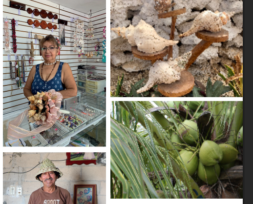 Descubre el talento artesanal de Dzilam de Bravo en Yucatán. Un catálogo con piezas únicas elaboradas con recursos naturales de la región.