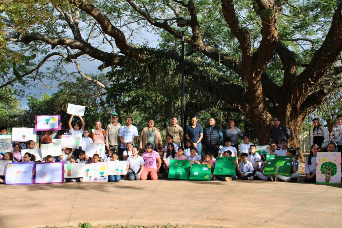 El Ayuntamiento de Mérida designa un "pich" de Xcumpich como Árbol Patrimonio Verde, destacando su importancia ecológica y cultural.
