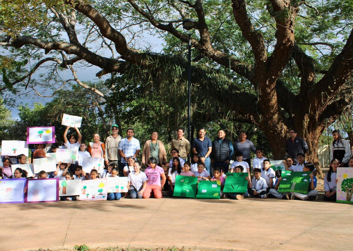 El Ayuntamiento de Mérida designa un "pich" de Xcumpich como Árbol Patrimonio Verde, destacando su importancia ecológica y cultural.