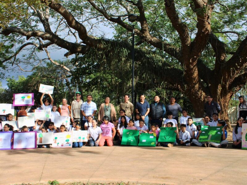 El Ayuntamiento de Mérida designa un "pich" de Xcumpich como Árbol Patrimonio Verde, destacando su importancia ecológica y cultural.
