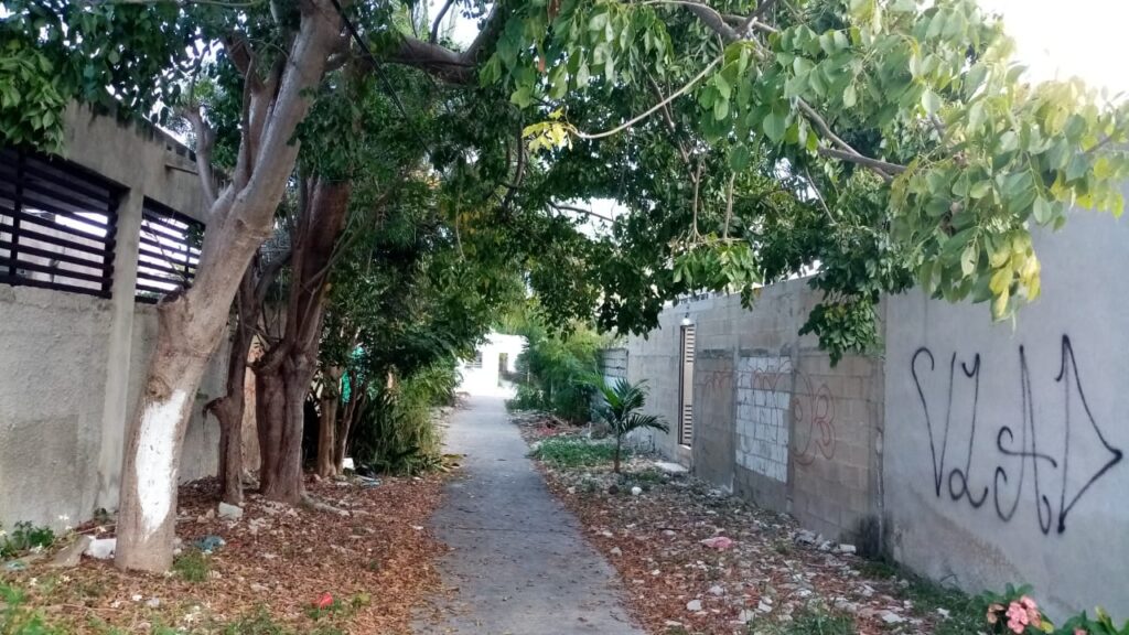 Vecinos del Fracc. Polígono 108 piden a Cecilia Patrón rehabilitar área abandonada en calle 30, con iluminación, áreas verdes y limpieza.