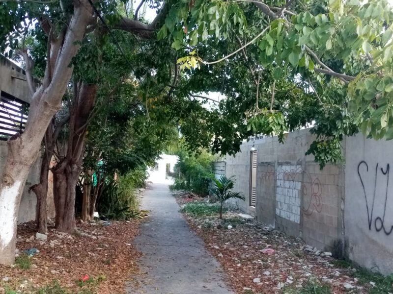 Vecinos del Fracc. Polígono 108 piden a Cecilia Patrón rehabilitar área abandonada en calle 30, con iluminación, áreas verdes y limpieza.