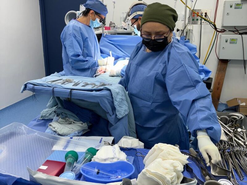 Yucatán reafirma su liderazgo en trasplantes con cifras históricas y nuevas estrategias para fortalecer la donación de órganos y tejidos.
