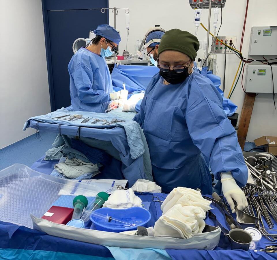 Yucatán reafirma su liderazgo en trasplantes con cifras históricas y nuevas estrategias para fortalecer la donación de órganos y tejidos.