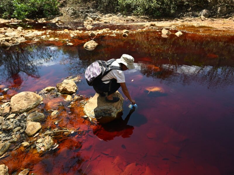 El río San Sebastián ya no tiene vida tras la minería en El Salvador. El regreso de esta actividad genera temores sobre sus efectos ambientales.