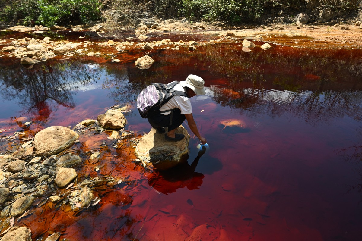 El río San Sebastián ya no tiene vida tras la minería en El Salvador. El regreso de esta actividad genera temores sobre sus efectos ambientales.
