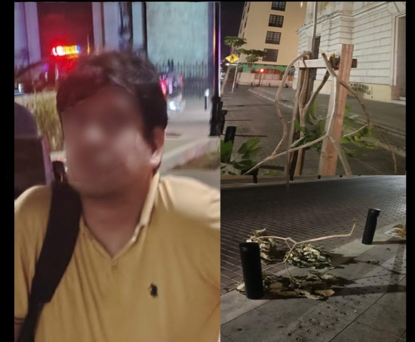 La SSP detiene a un sujeto por daños a bienes públicos en Mérida. Actuación rápida y coordinación efectiva con la Policía Municipal.