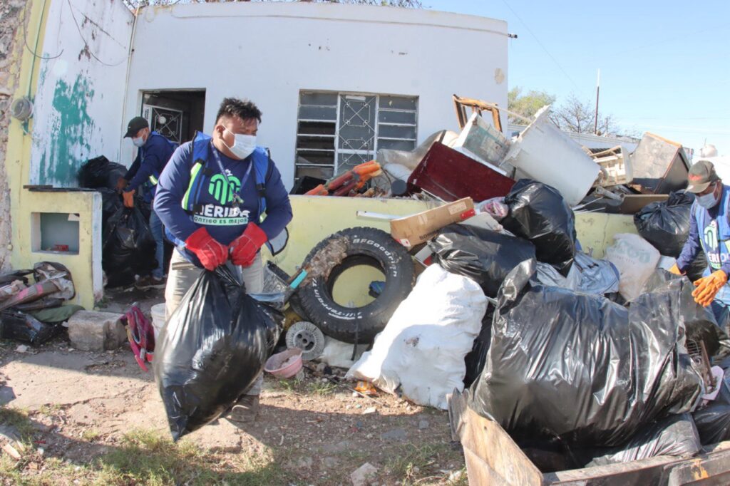 Retiran 8 toneladas de basura en el centro de Mérida para evitar riesgos sanitarios. Autoridades brindan apoyo a los afectados y sus mascotas.