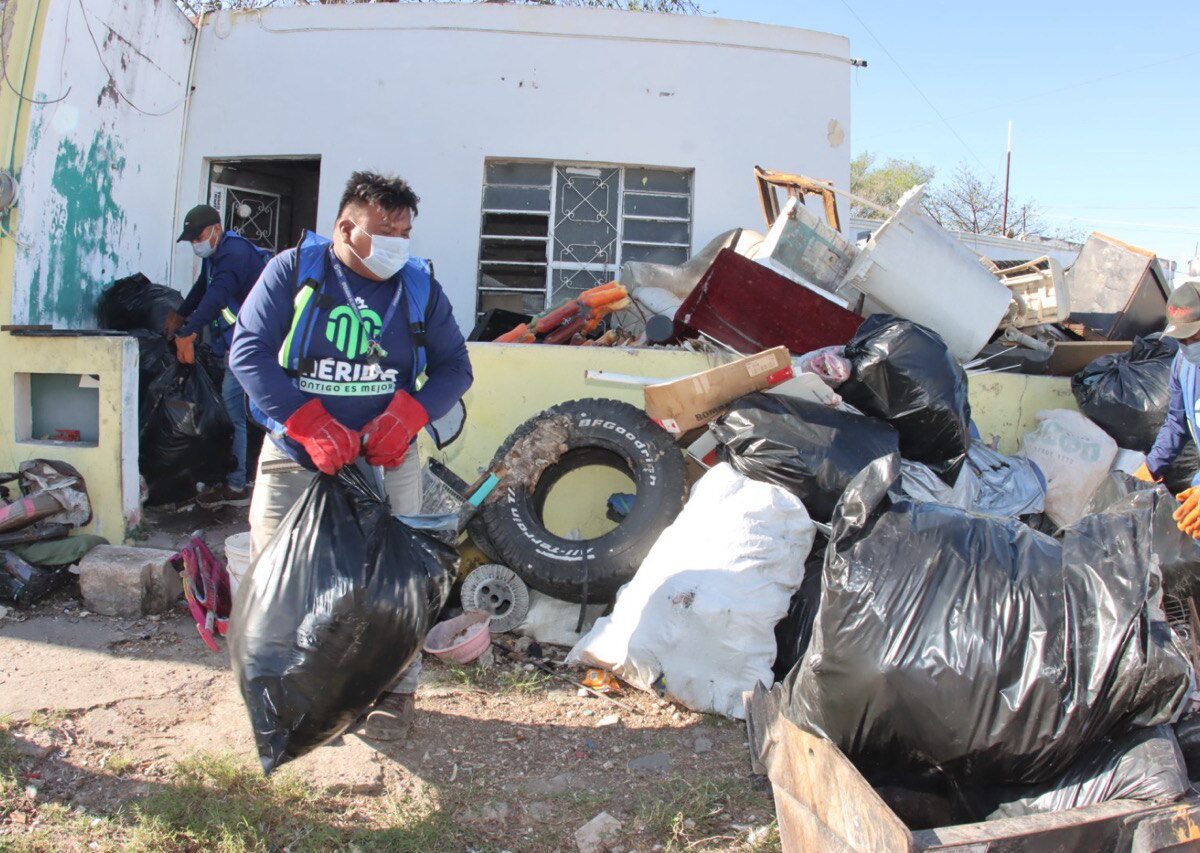 Retiran 8 toneladas de basura en el centro de Mérida para evitar riesgos sanitarios. Autoridades brindan apoyo a los afectados y sus mascotas.