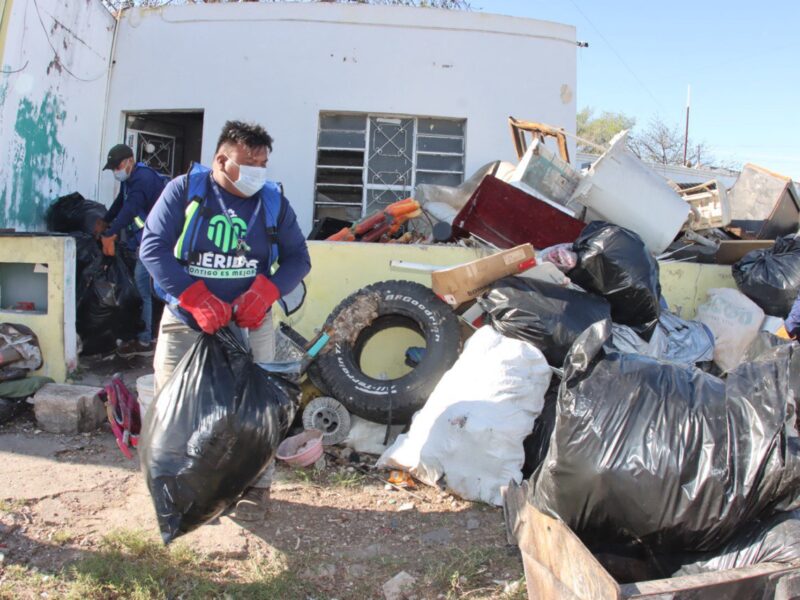 Retiran 8 toneladas de basura en el centro de Mérida para evitar riesgos sanitarios. Autoridades brindan apoyo a los afectados y sus mascotas.
