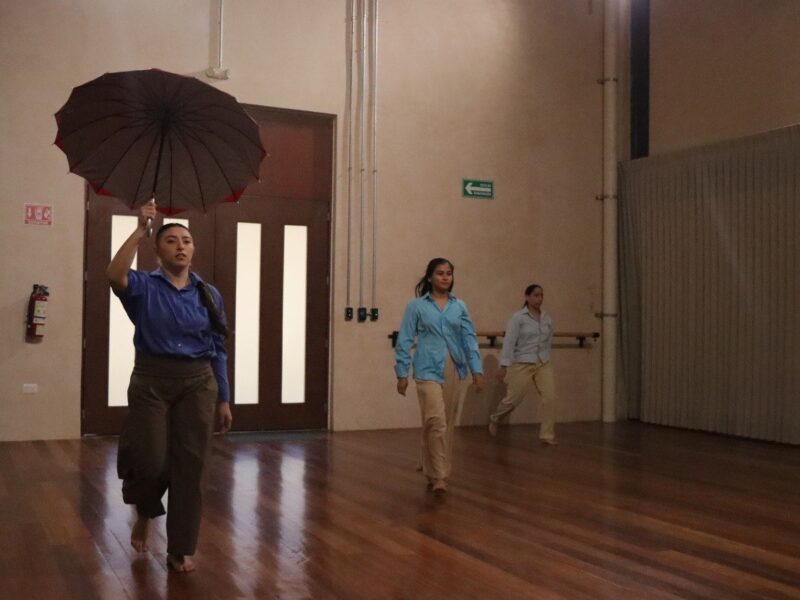 El Gobierno de Yucatán, a través de la UNAY, presenta un programa de arte y cultura en la FILEY 2025, con exposiciones, teatro, danza y más.