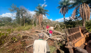 Profepa clausura actividades ilegales en Tekax y asegura maquinaria pesada por cambio de uso de suelo en la Reserva Biocultural del Puuc.