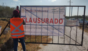 Profepa clausura la granja porcícola Pecuaria Peninsular por operar sin permiso de descarga de aguas residuales en Santa María Chi, Mérida.
