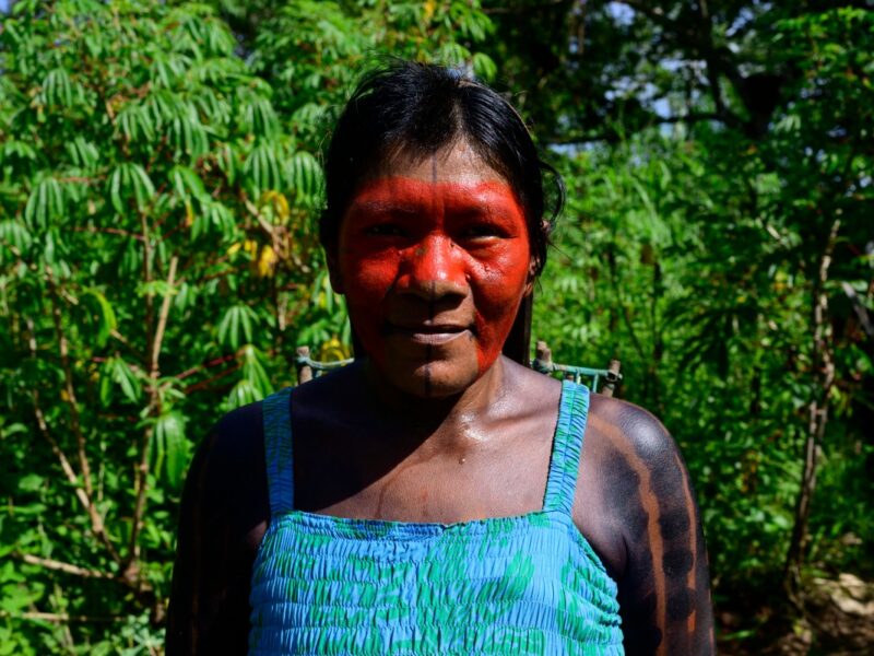La aldea indígena de Raoni en la Amazonía resiste la deforestación y la minería ilegal, protegiendo su tierra y cultura ante amenazas ambientales.