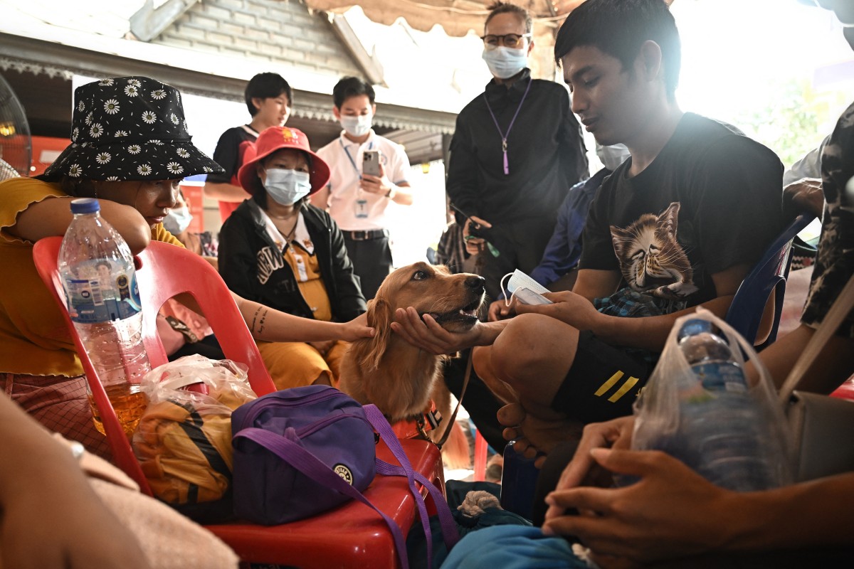 Los perros de rescate en Tailandia no solo buscan sobrevivientes tras un derrumbe en Bangkok, sino que también brindan apoyo emocional a las familias afectadas.