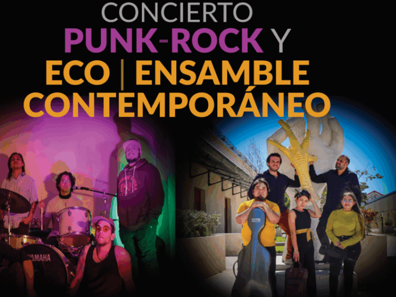 Crea UNAY su primer ensamble de Punk Rock con jóvenes músicos yucatecos. Se presentarán el 7 de mayo en el Centro Cultural Efímero.