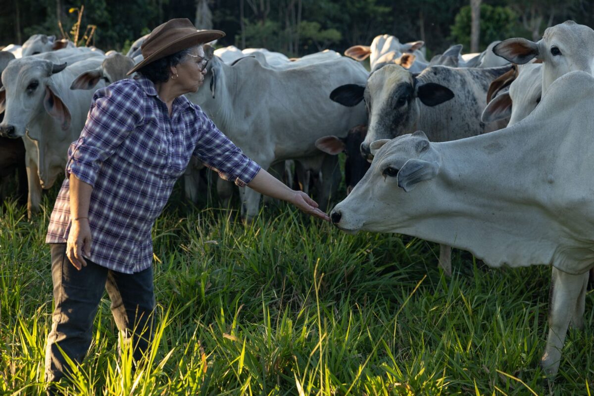 Mujeres ganaderas en Yucatán rompen barreras de género en un sector tradicionalmente masculino. ¡El campo yucateco se fortalece con su liderazgo!
