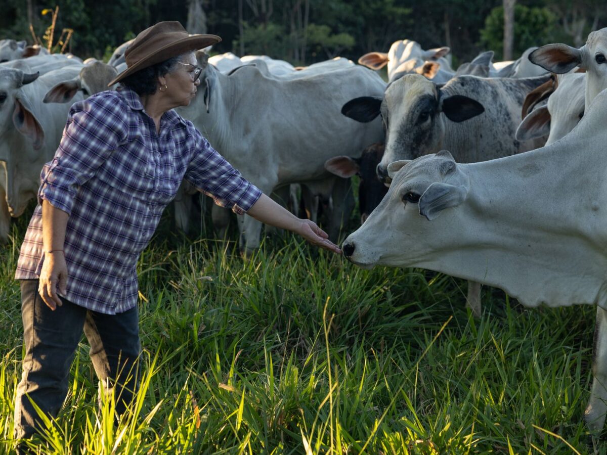 Mujeres ganaderas en Yucatán rompen barreras de género en un sector tradicionalmente masculino. ¡El campo yucateco se fortalece con su liderazgo!