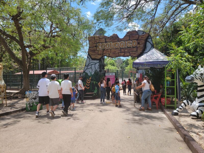 Familias disfrutan el inicio de vacaciones en el zoológico “Centenario” de Mérida, que cerrará temporalmente y reabrirá el sábado 19 de abril.
