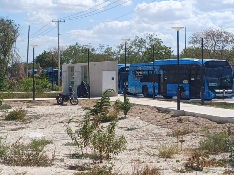 Paro de operadores Va y Ven genera afectaciones en rutas de transporte en Yucatán; ATY confirma conflicto con empresa concesionaria.