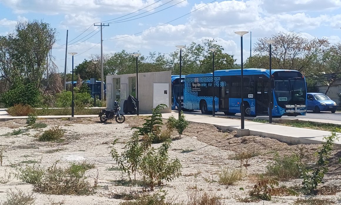Paro de operadores Va y Ven genera afectaciones en rutas de transporte en Yucatán; ATY confirma conflicto con empresa concesionaria.