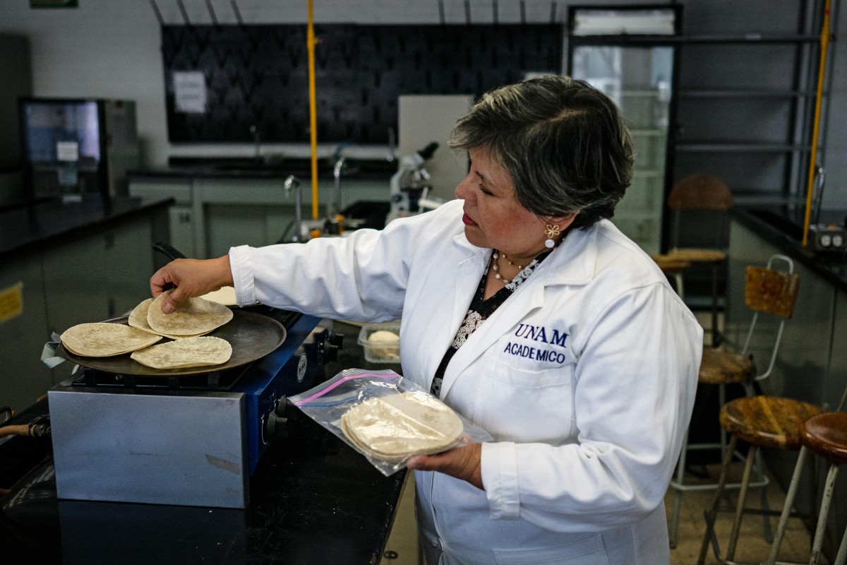 Desarrollan en México una tortilla con probióticos que combate la desnutrición y no requiere refrigeración.