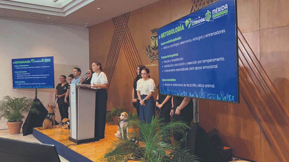 "De la Calle al Corazón", programa del Ayuntamiento de Mérida, entrena perros de apoyo emocional para ayudar a población vulnerable.