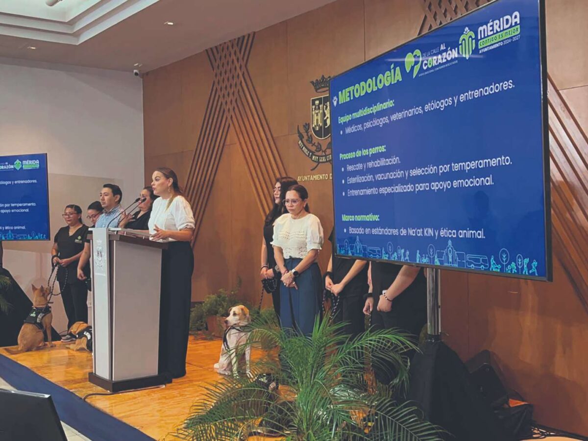 "De la Calle al Corazón", programa del Ayuntamiento de Mérida, entrena perros de apoyo emocional para ayudar a población vulnerable.