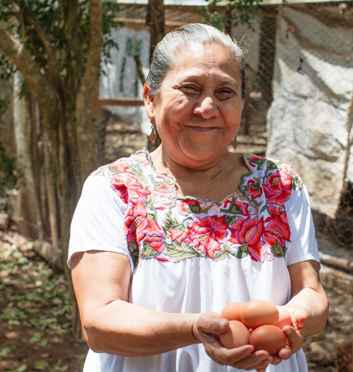 Granja agroecológica en Ek Balam fortalece la seguridad alimentaria en Yucatán gracias a la Fundación Legorreta Hernández.