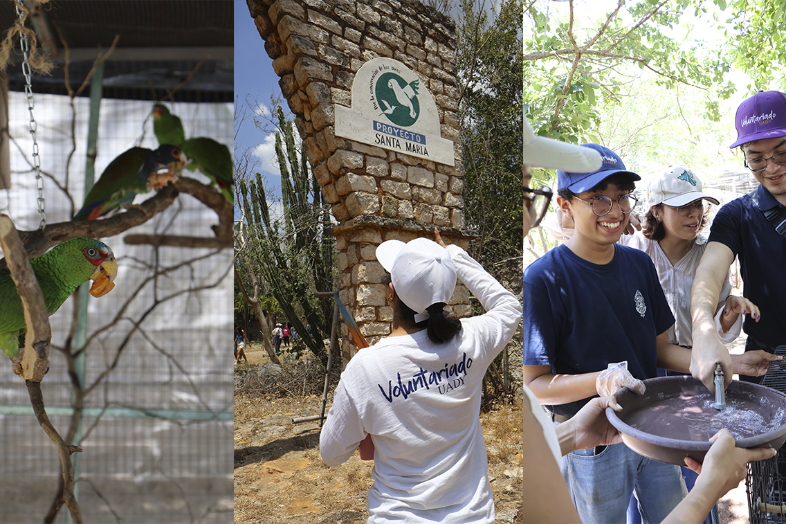 Rescate y rehabilitación de fauna silvestre: UADY impulsa conciencia ambiental con jornada en el Proyecto Santa María.