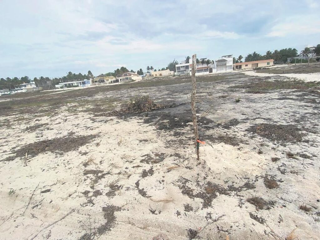 Vecinos de Sisal denuncian amenazas por defender duna costera
