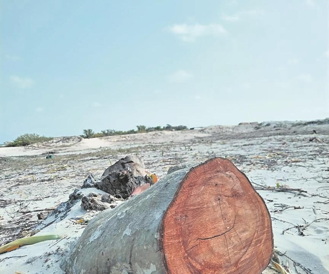 Terrenos ganados al mar en Sisal son propiedad de la nación, advierte Semarnat; acciones ilegales ya enfrentan denuncias penales.
