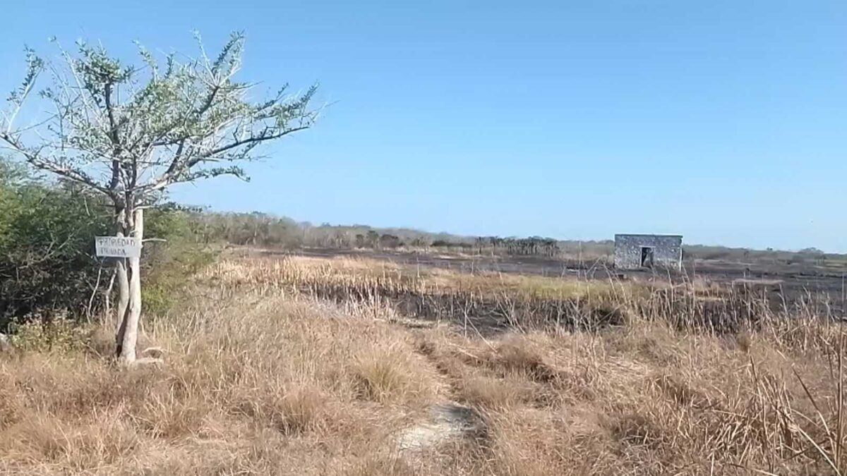 Bajo control incendio en Celestún