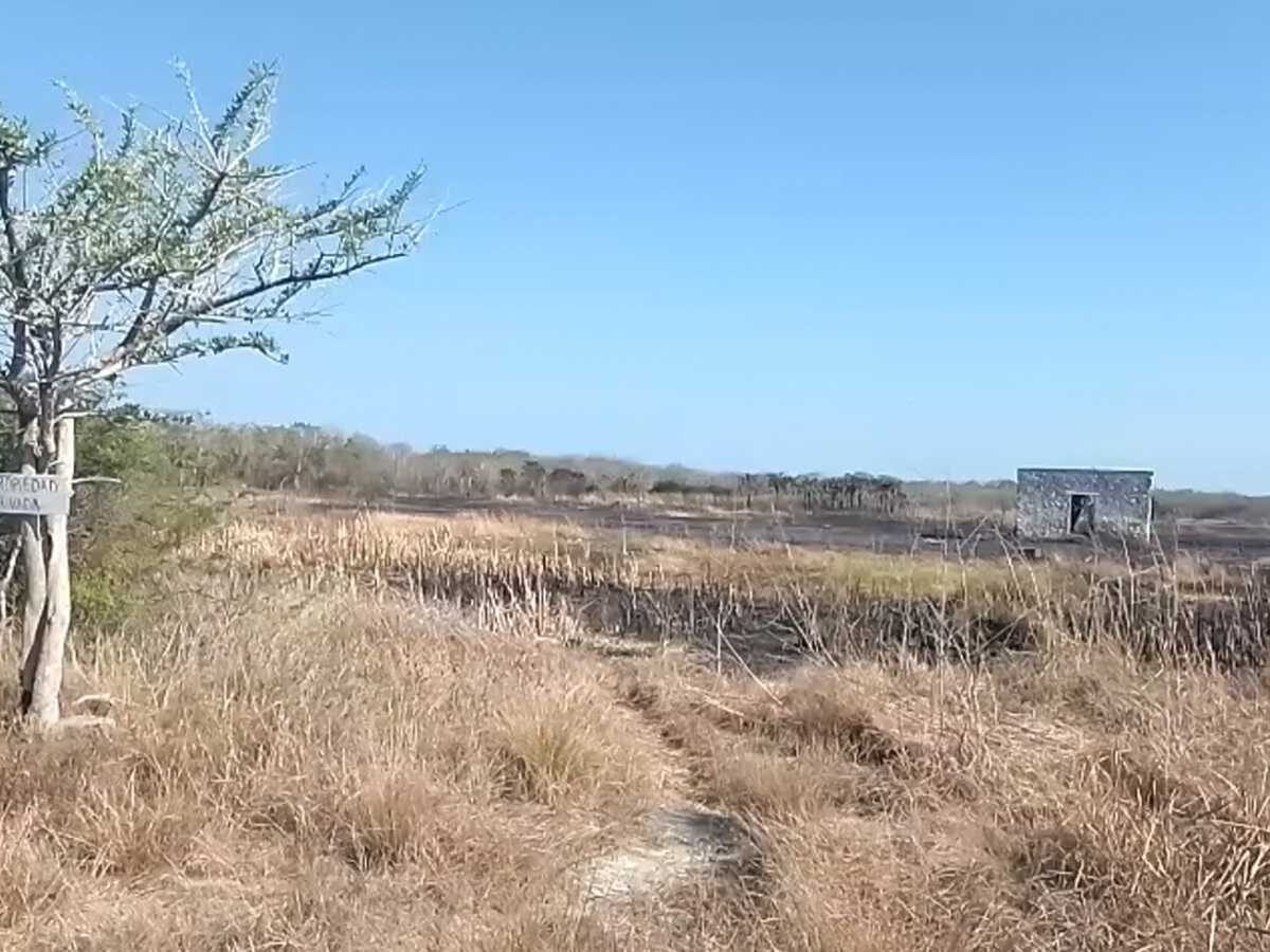 Bajo control incendio en Celestún