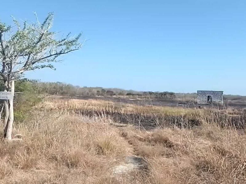 Bajo control incendio en Celestún