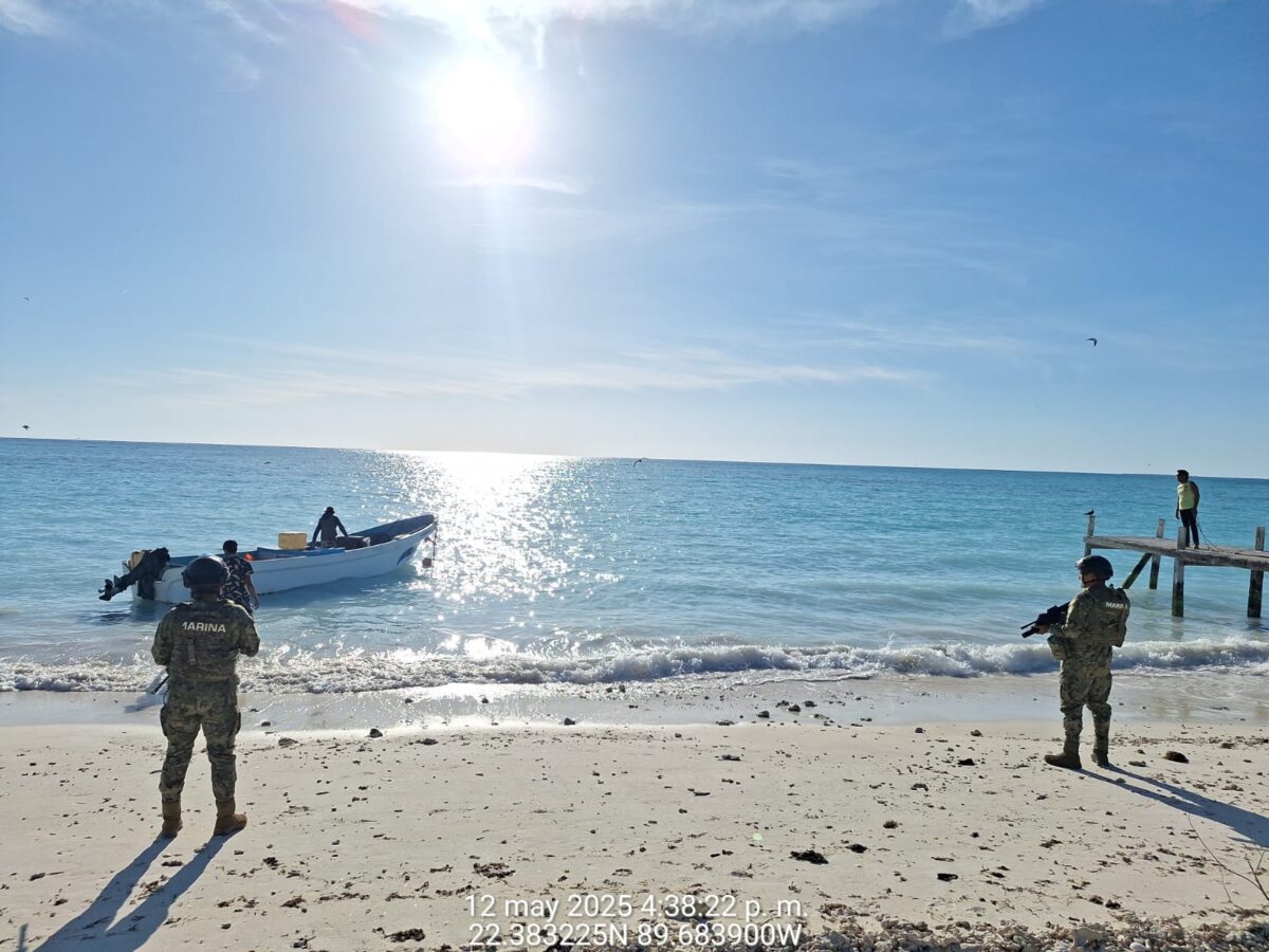 Marina y CONAPESCA detienen a tres pescadores con 132 kg de caracol rosado en veda en Isla Pérez, Yucatán.