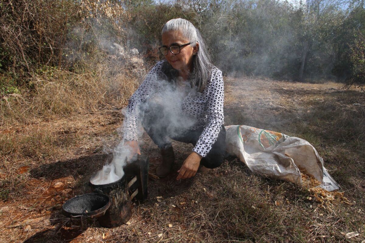 Apicultora yucateca impulsa el consumo de miel local y denuncia fumigaciones que amenazan a las abejas y la producción apícola.