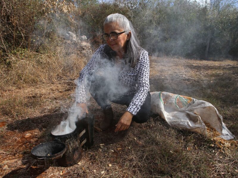 Apicultora yucateca impulsa el consumo de miel local y denuncia fumigaciones que amenazan a las abejas y la producción apícola.