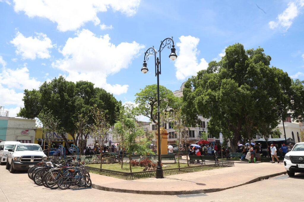 Cecilia Patrón lidera reforestación del Parque Eulogio Rosado