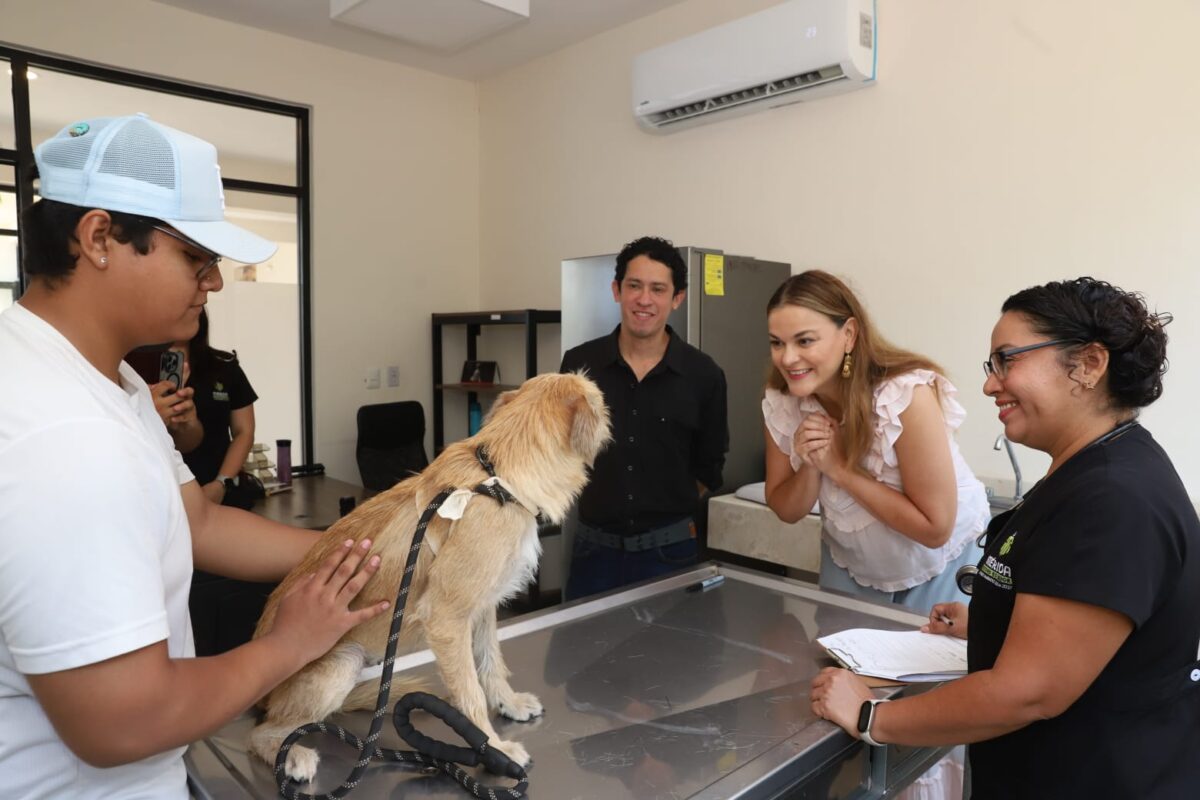 Cecilia Patrón reafirma el compromiso del Ayuntamiento de Mérida con el cuidado de los animales en situación de calle.