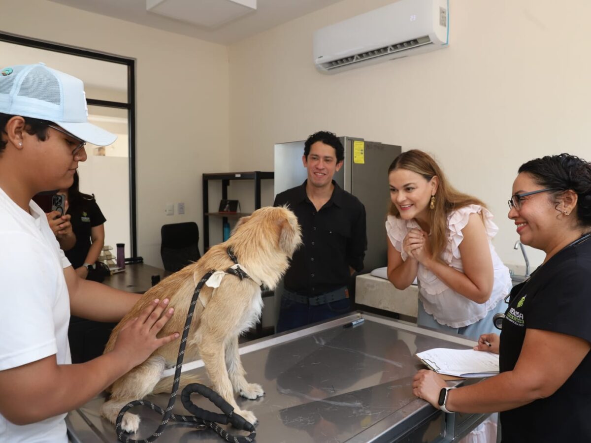Cecilia Patrón reafirma el compromiso del Ayuntamiento de Mérida con el cuidado de los animales en situación de calle.