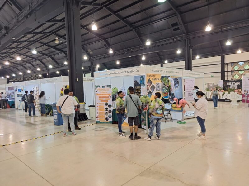Inicia la Expoferia Ambiental en Mérida con más de 100 empresas que promueven tecnologías verdes y compromiso con la sostenibilidad.