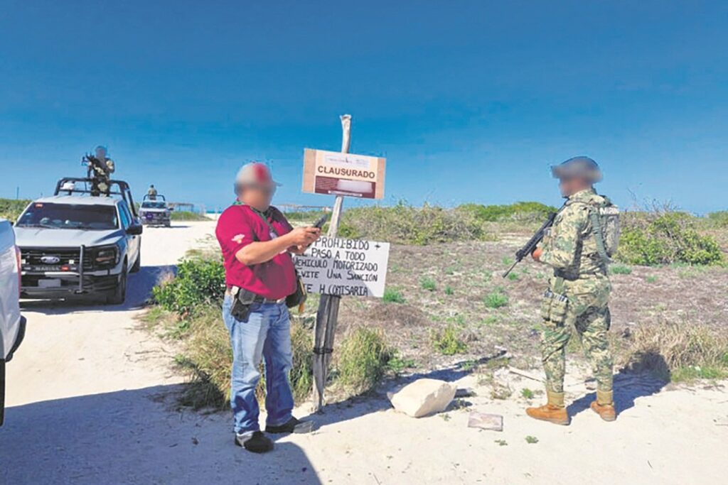 Afectadas 25 mil hectáreas de manglares en Yucatán