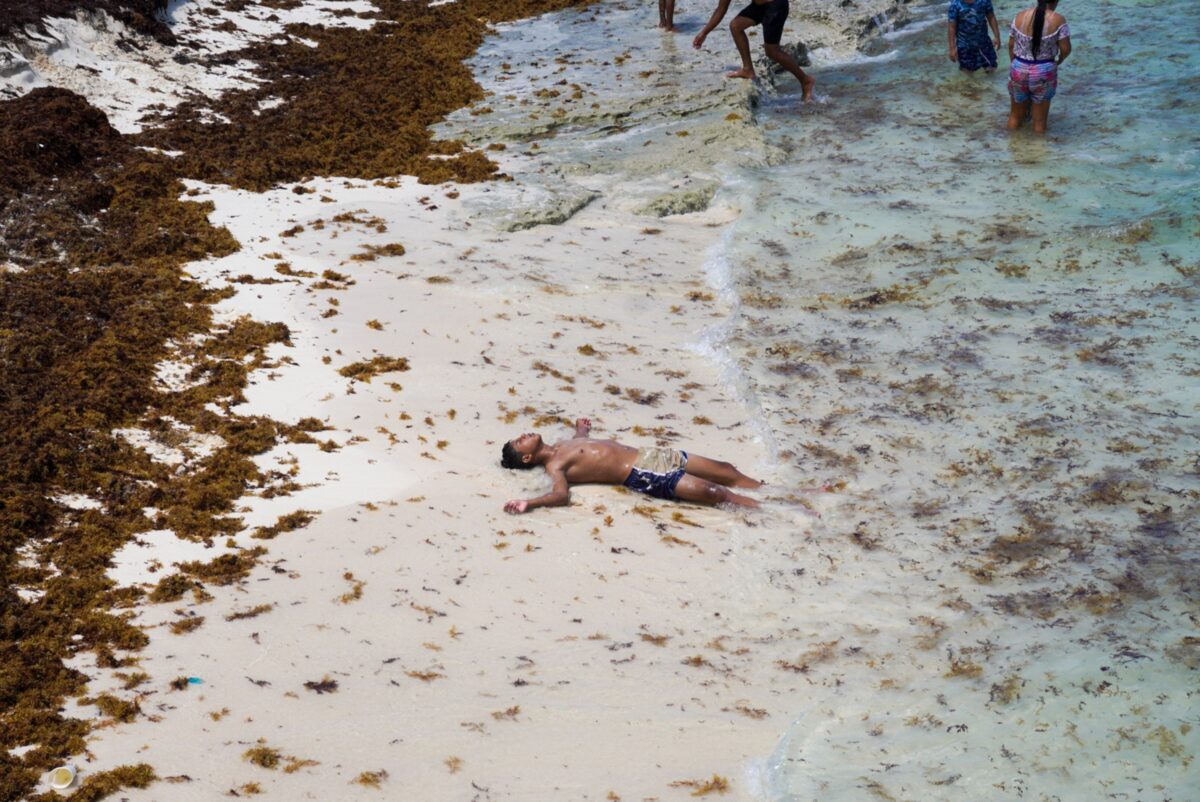 La UNAM combate el sargazo en el Caribe mexicano con ciencia, tecnología e innovación para mitigar su impacto ambiental y social.