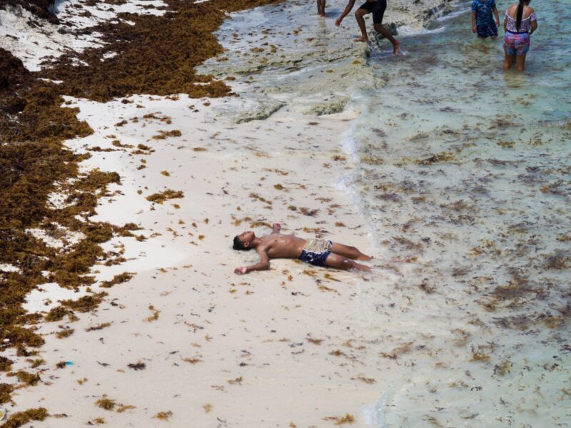 La UNAM combate el sargazo en el Caribe mexicano con ciencia, tecnología e innovación para mitigar su impacto ambiental y social.