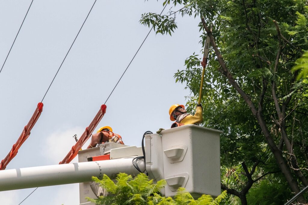Agencia de energía de Yucatán y CFE coadyuvan para acabar "apagones"