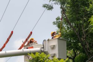 Alcaldes yucatecos exigen a la CFE transparencia y soluciones por apagones y cobros excesivos que afectan a 106 municipios.