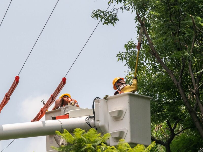 Alcaldes yucatecos exigen a la CFE transparencia y soluciones por apagones y cobros excesivos que afectan a 106 municipios.