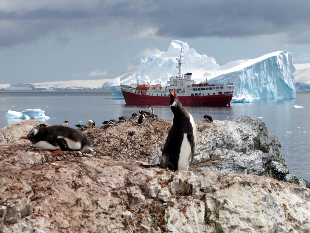 La población de pingüinos emperador disminuye un 22% por cambio climático en la Antártida. Impacto climático en pingüinos emperador es grave.