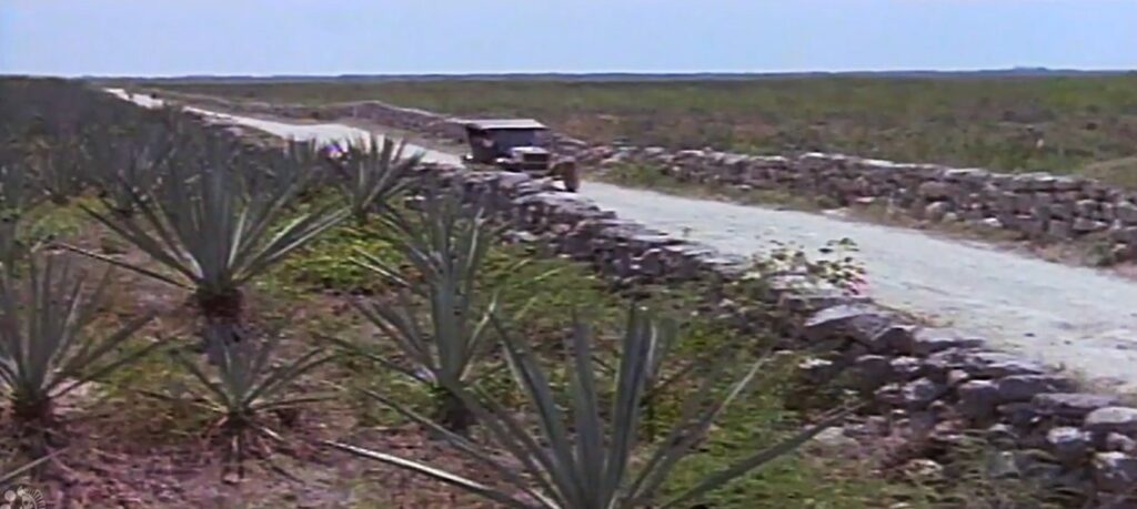 Películas y series grabadas en Yucatán